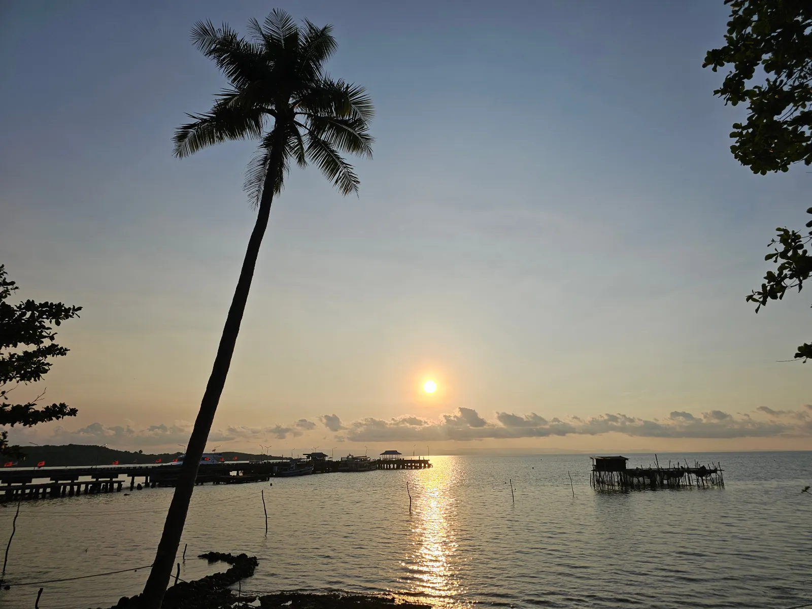 Sunrise over Ao Nid pier with a tall coconut palm silhouetted against the sky, Koh Mak, Thailand