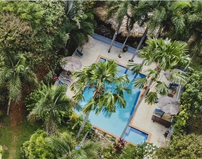 Aerial view of the tropical swimming pool framed by palm trees at Sugarcane Villa, Koh Mak, Thailand