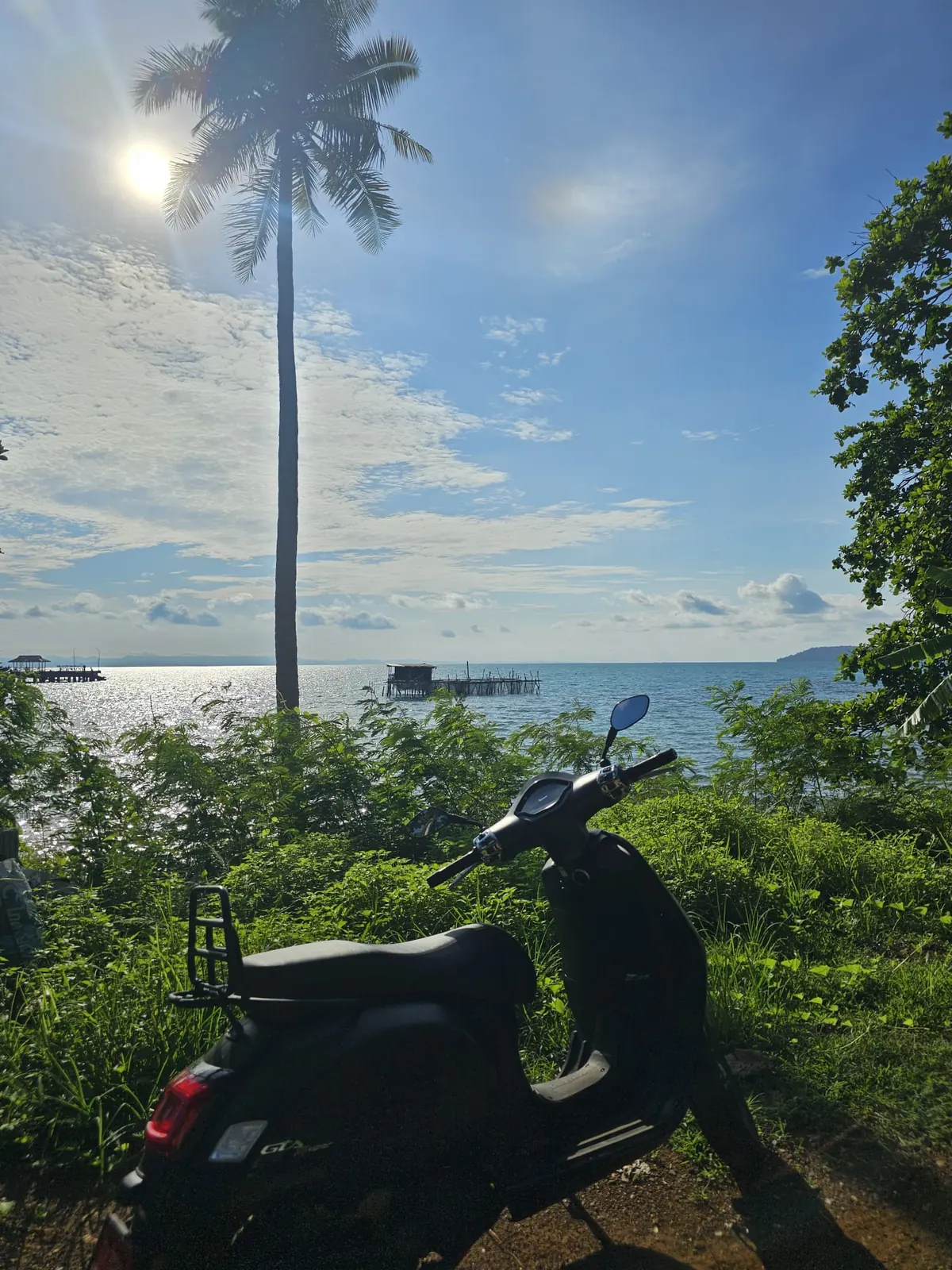 Quiet palm-lined road on Koh Mak with a parked scooter
