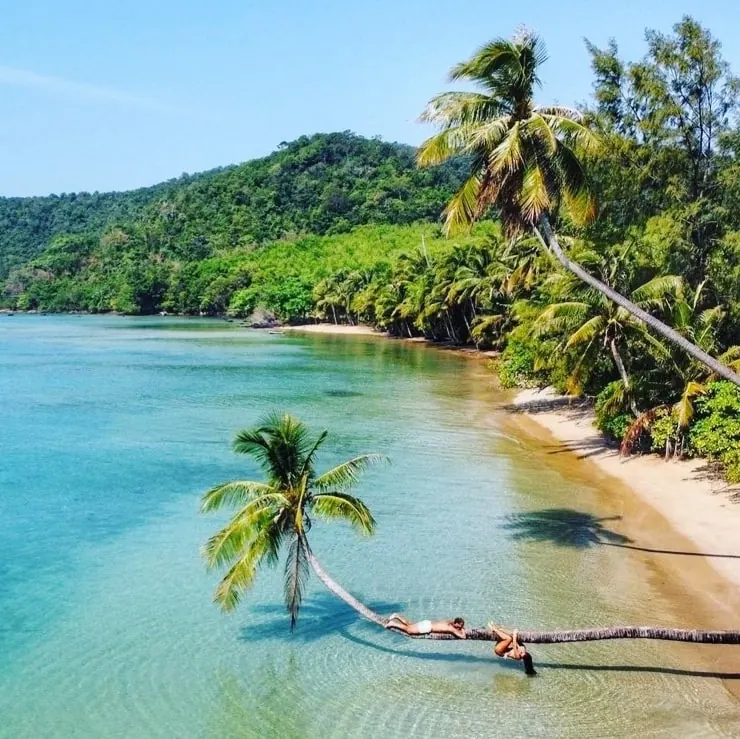 Aerial view of Ao Kao beach with a leaning coconut palm over turquoise water on Koh Mak, Thailand