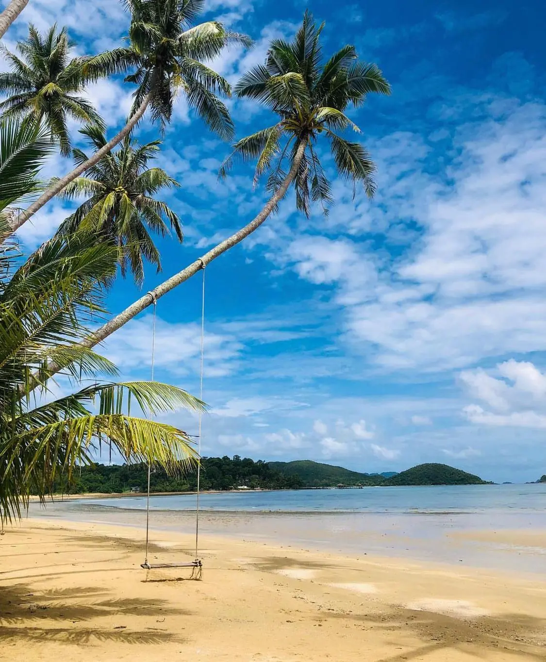 Palm tree swing on the golden sand of Ao Suan Yai beach with calm sea and islands in the distance, Koh Mak, Thailand