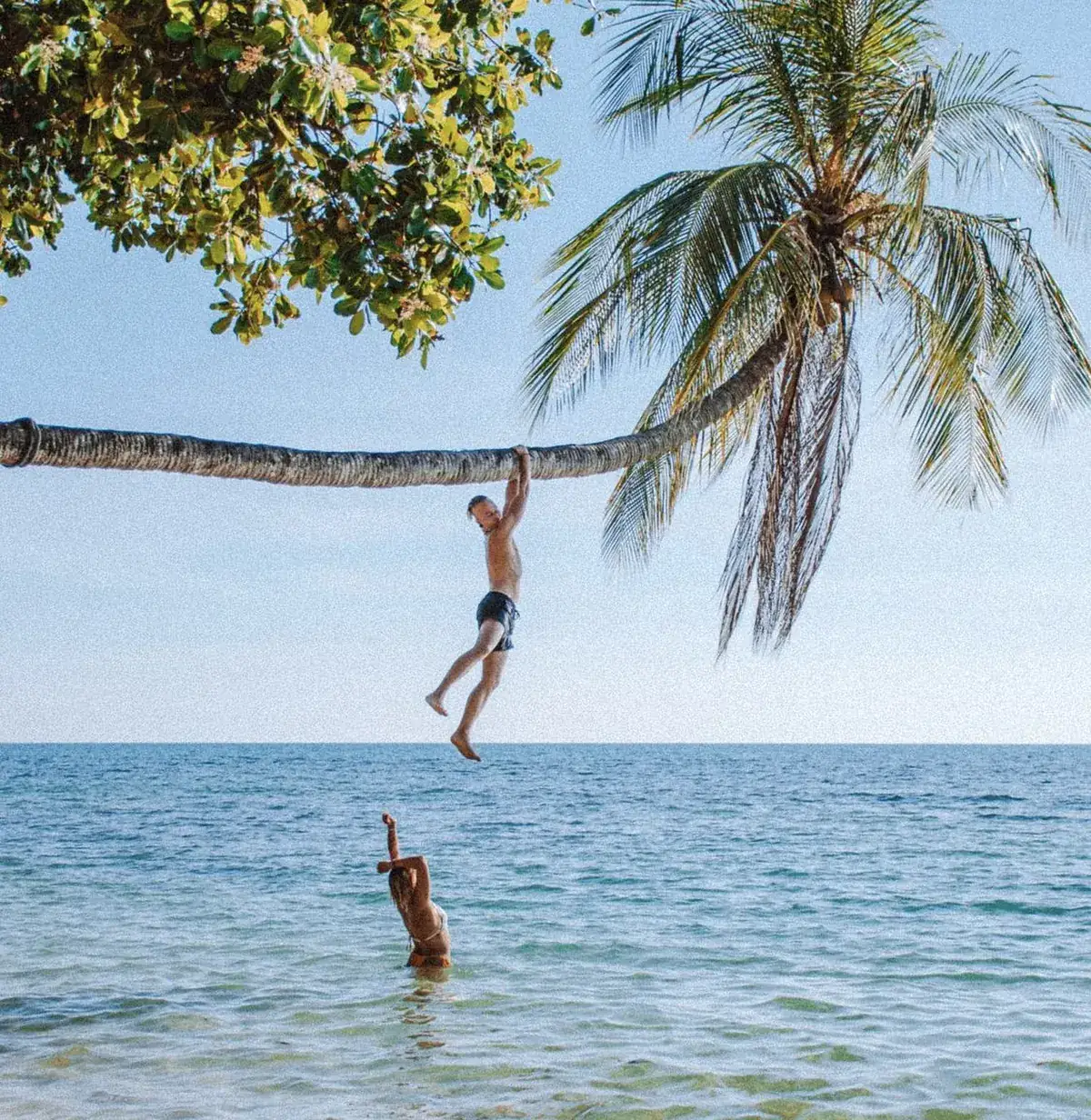 Guests jumping off a leaning coconut palm into clear turquoise water on Koh Mak