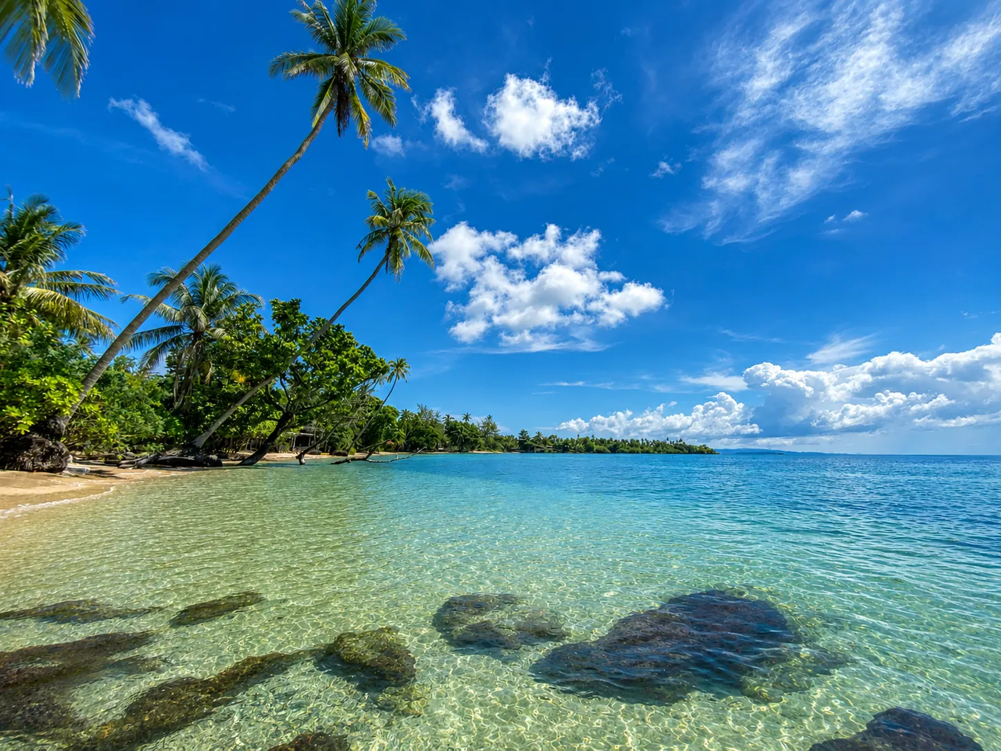 Palm trees on a quiet Koh Mak beach