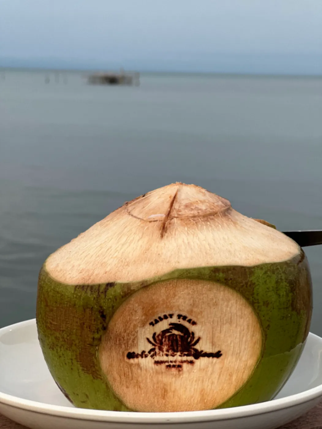 Fresh young coconut served at Koh Mak Seafood with the sea in the background