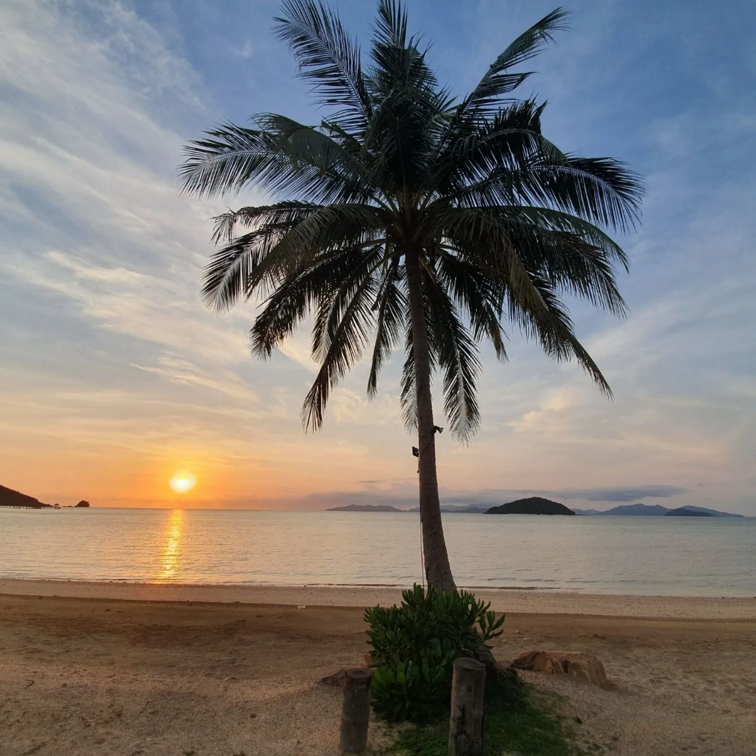 Sunset over the sea with a tall coconut palm on the beach in front of Seavana Resort, Koh Mak, Thailand