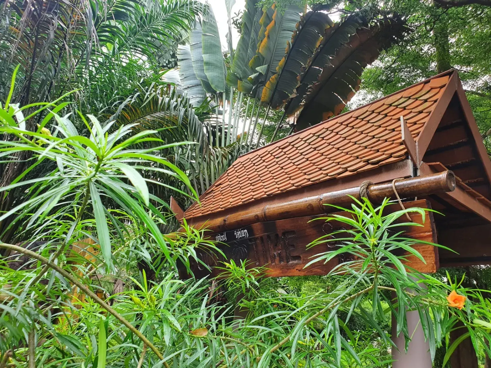 Close-up of a Thai-style tiled roof surrounded by tropical foliage