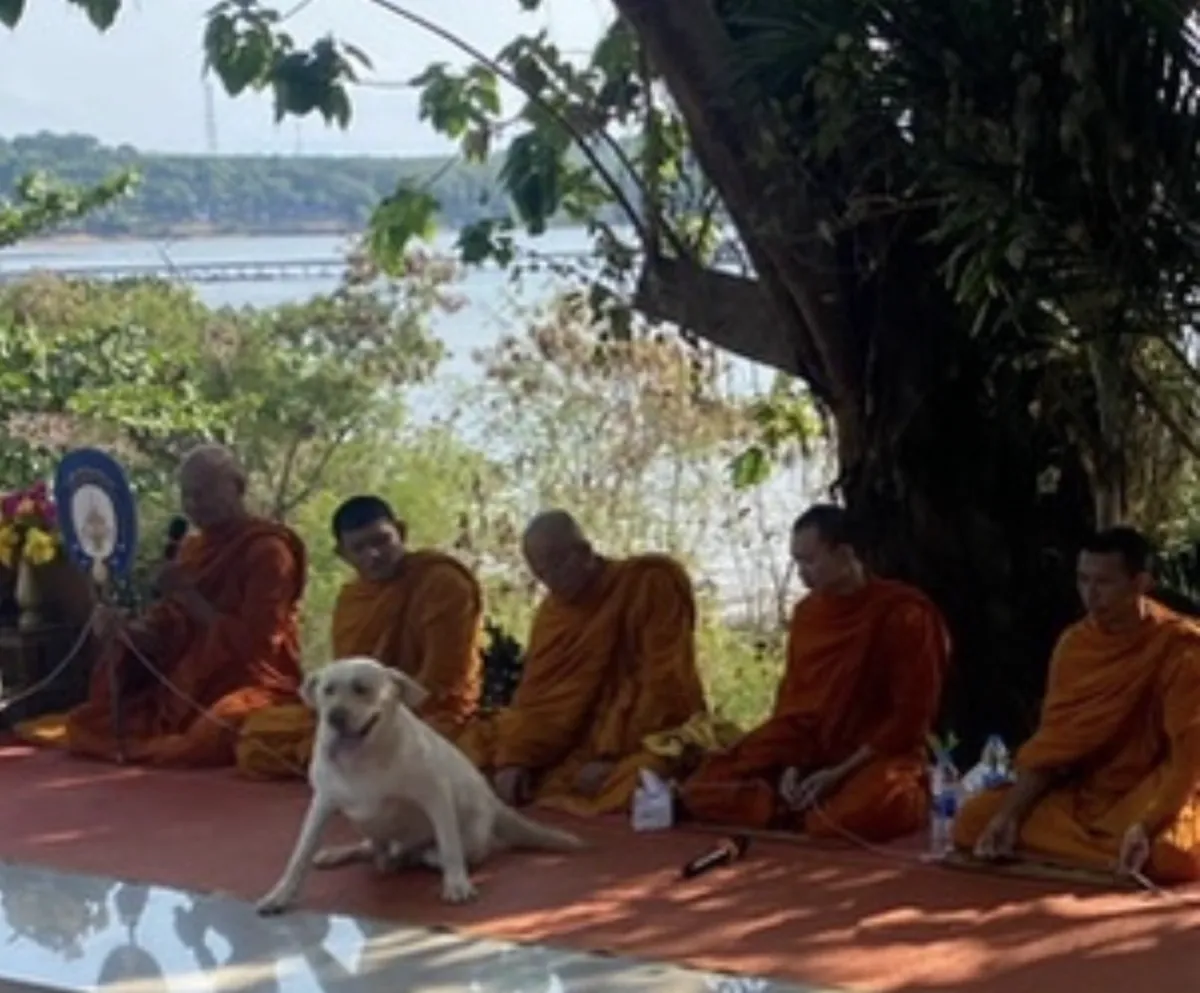 Buddhist monks gathered under a tree by the sea on Koh Mak