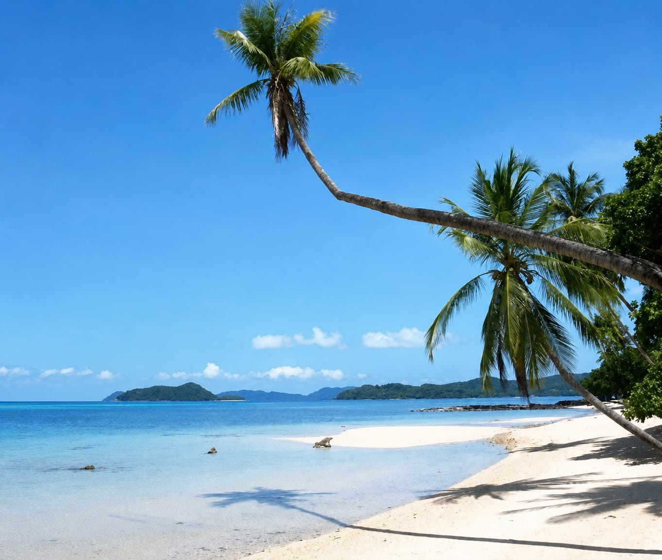 Leaning coconut palms over a quiet white-sand beach on Koh Mak