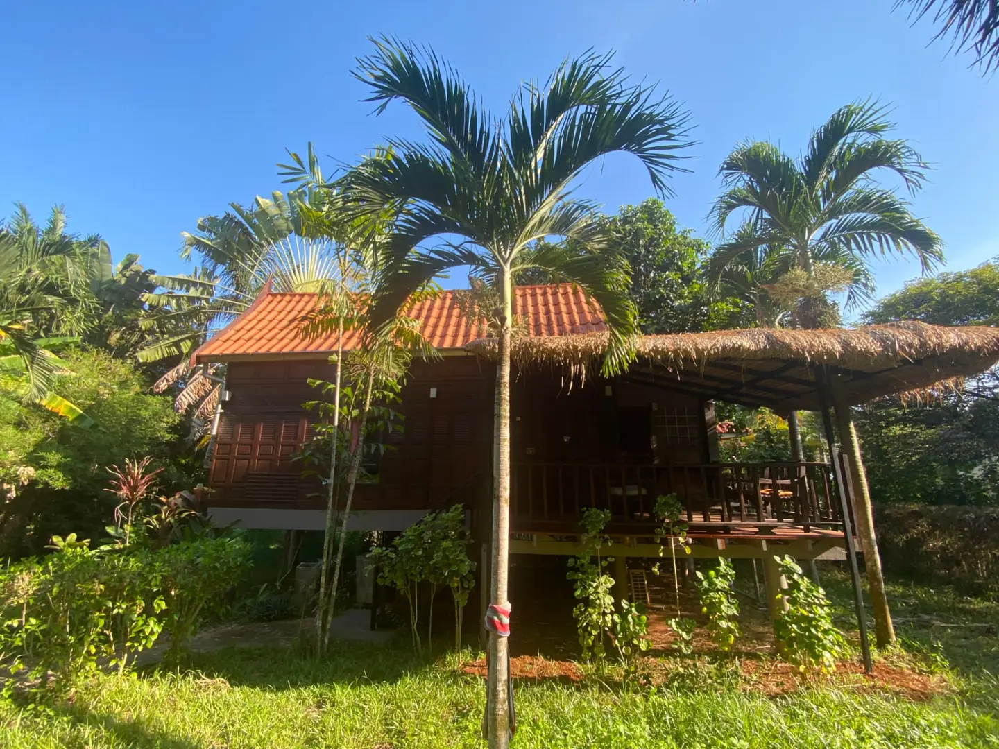 Traditional Thai wooden house on stilts surrounded by palm trees at Koh Mak Village