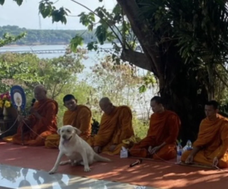 Buddhist monks in saffron robes seated in shade by the sea on Koh Mak